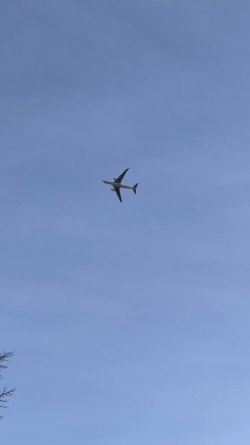 IMG 2830