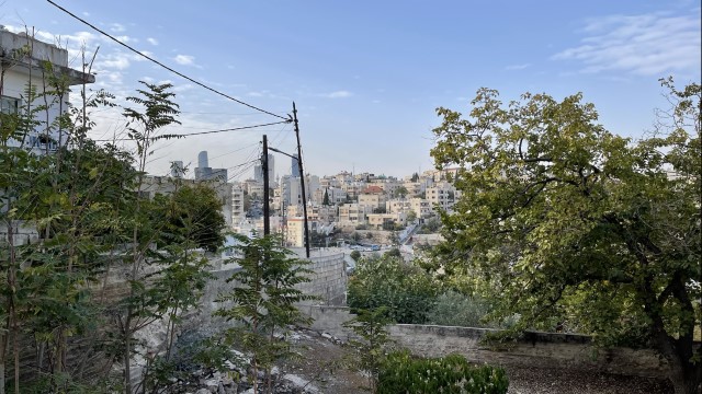 IMG 0935