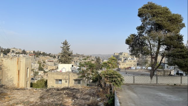 IMG 0954
