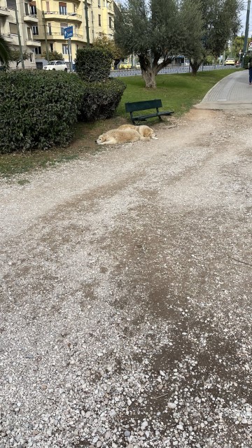 IMG 3436