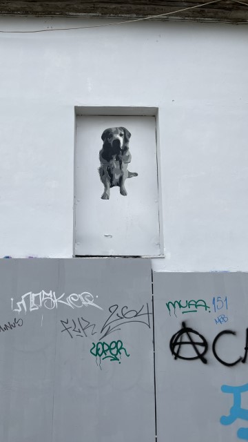 IMG 3689