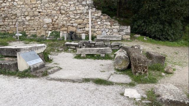 IMG 3724