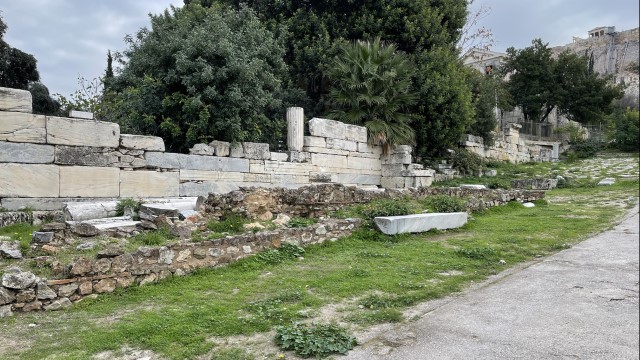 IMG 3953