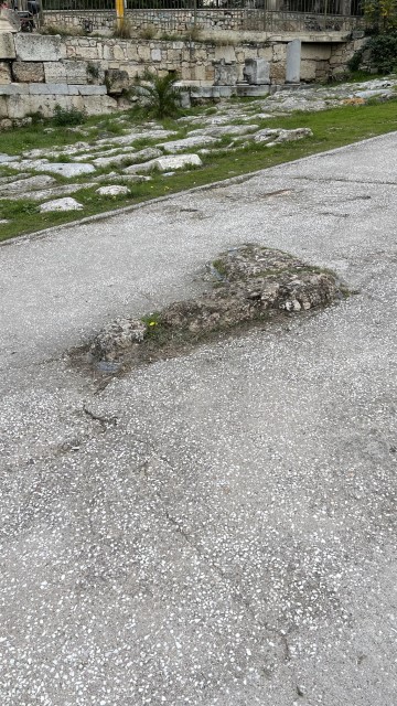 IMG 3959