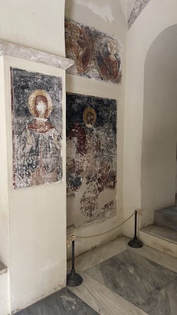 IMG 3981