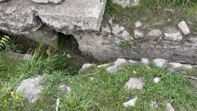 IMG 3829