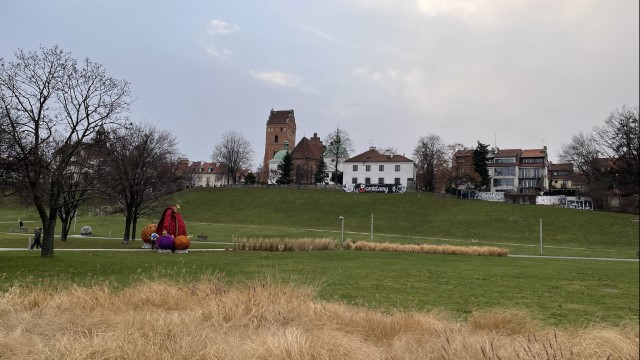 IMG 4889