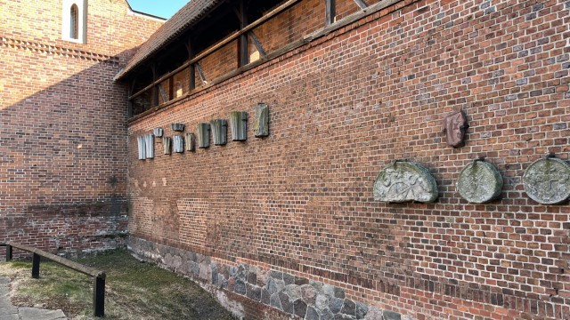 IMG 0749