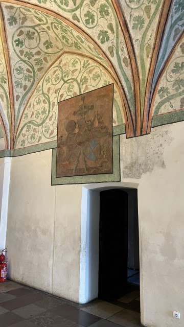 IMG 0875