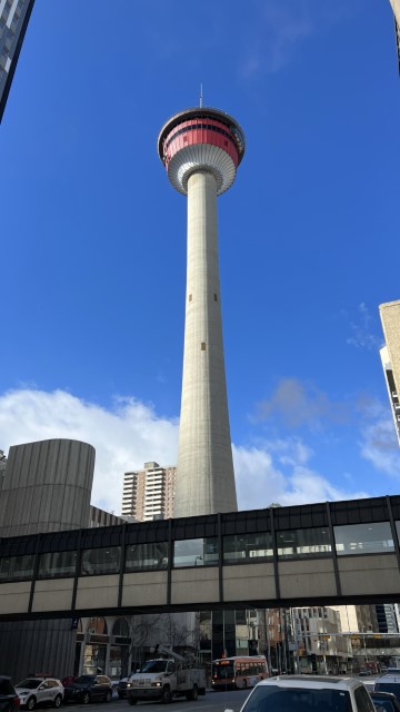 IMG 1489