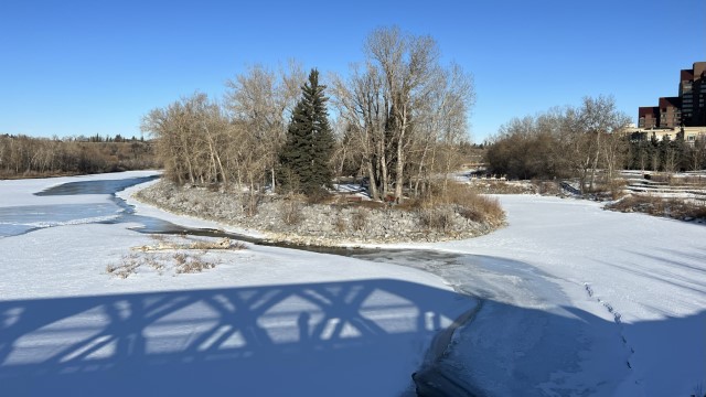 IMG 1548