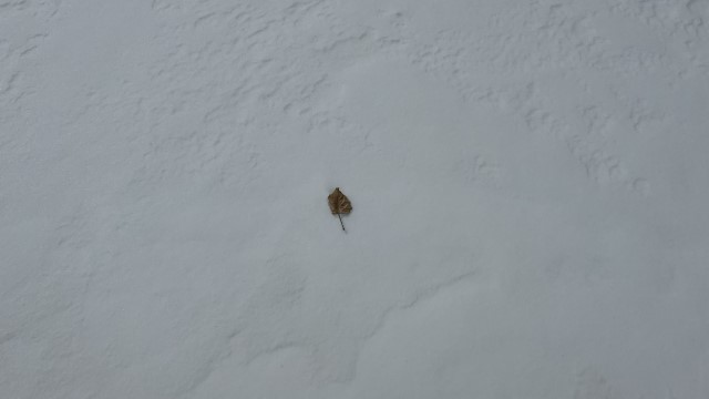 IMG 1672
