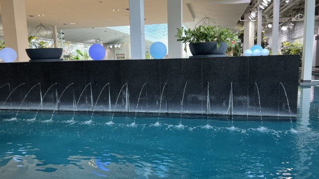IMG 1845