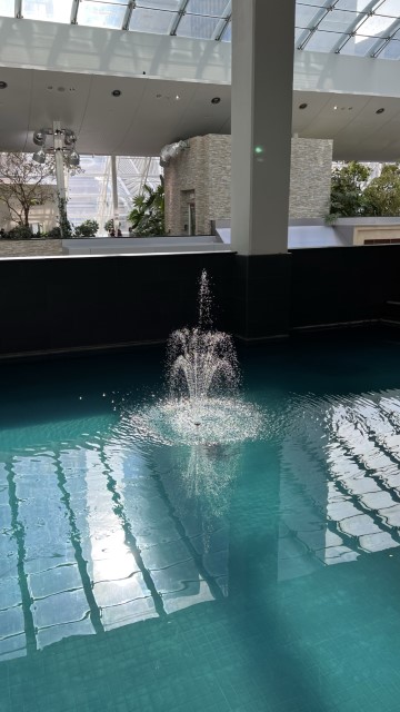 IMG 1871