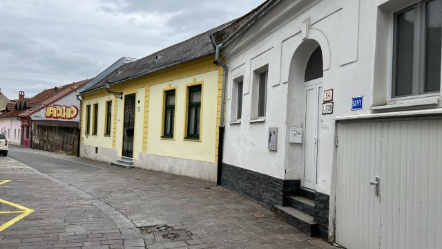 IMG 2584