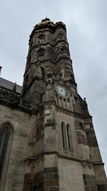 IMG 2621