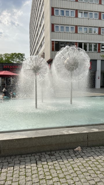 IMG 3500