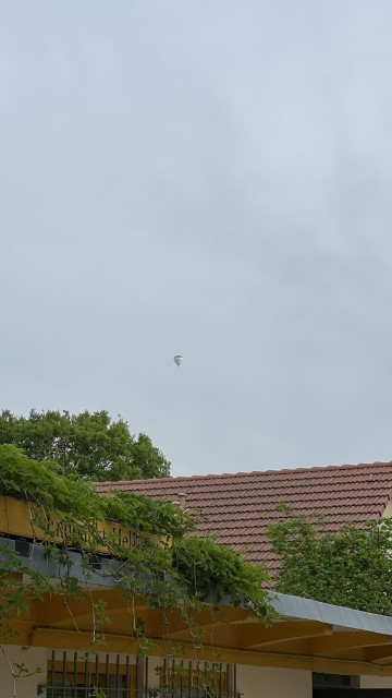 IMG 3547