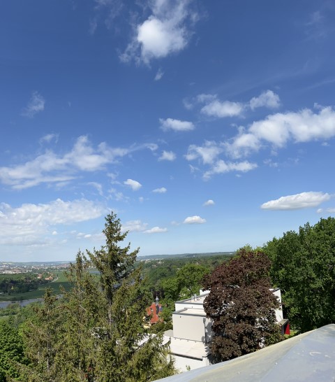 IMG 3959