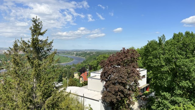 IMG 3971