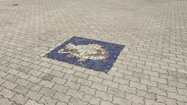 IMG 3701