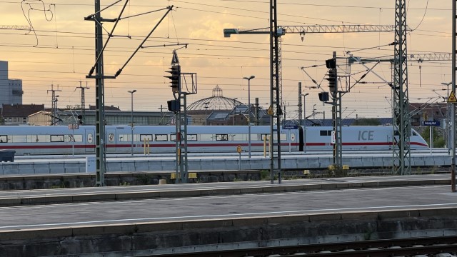 IMG 3879