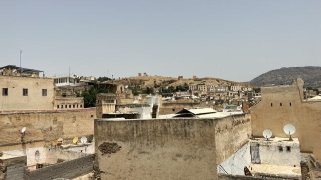 IMG 4819