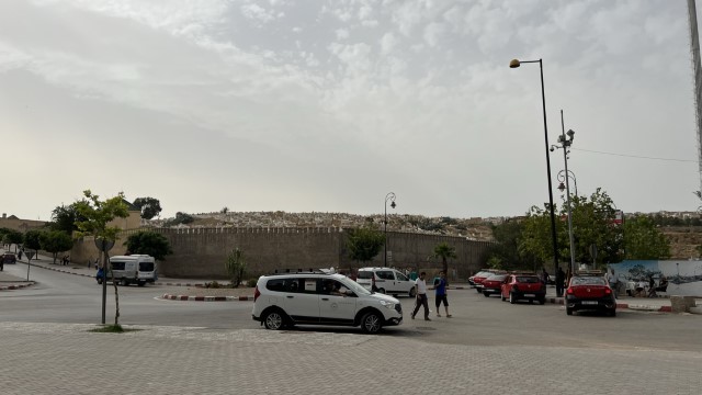 IMG 4936