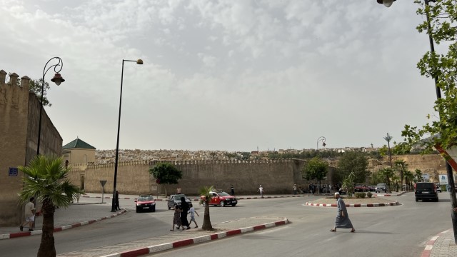 IMG 4939