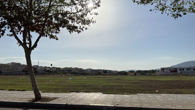 IMG 5326
