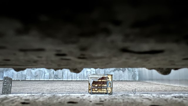 IMG 7053
