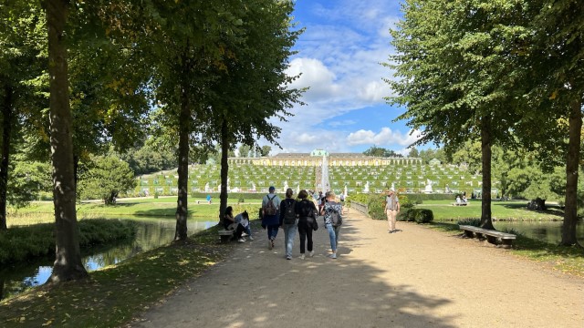IMG 7270