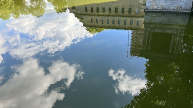 IMG 7303