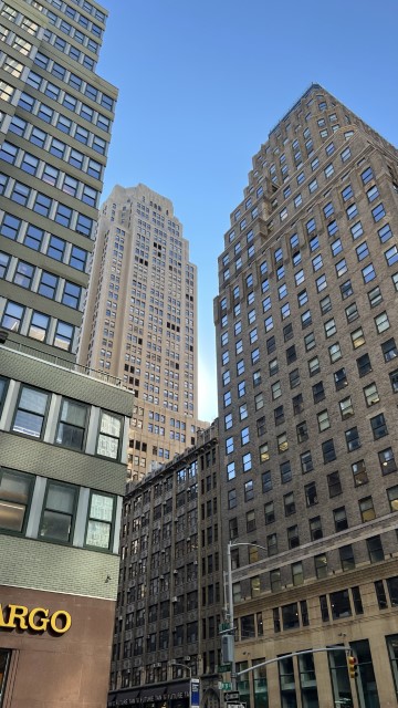IMG 7884