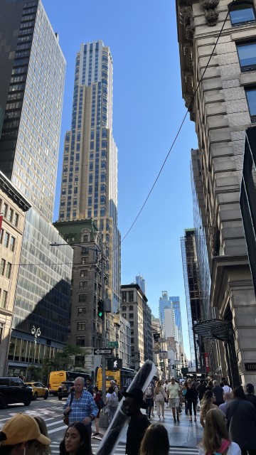 IMG 7919