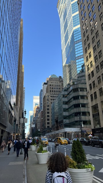 IMG 7974
