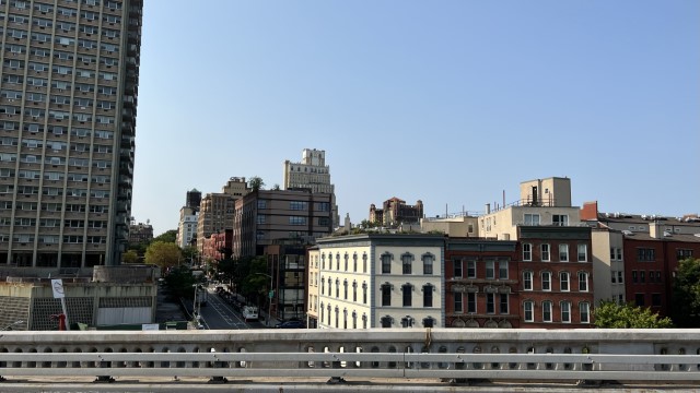 IMG 8100