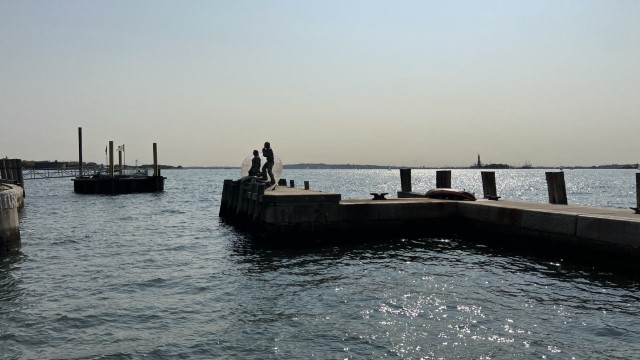 IMG 8356
