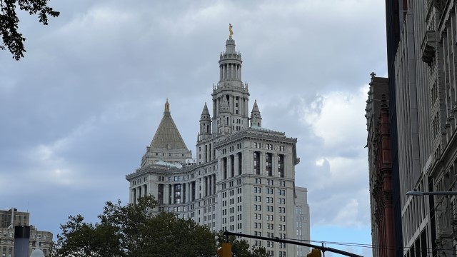 IMG 9355