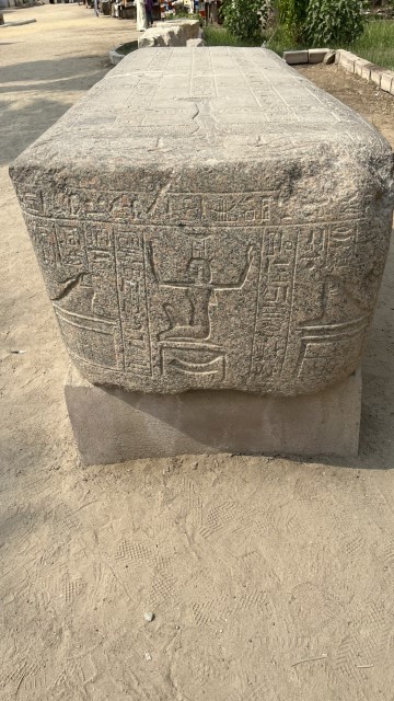 IMG 0147