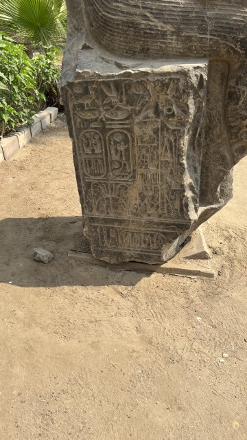 IMG 0150