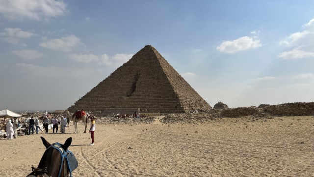 IMG 0241