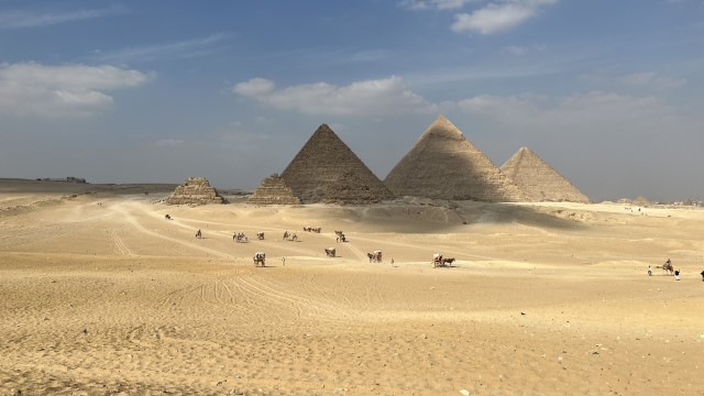 IMG 0258