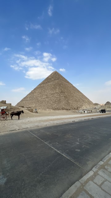 IMG 0337