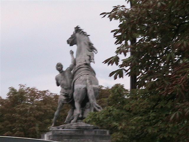 img 0254
