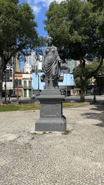 IMG 2011