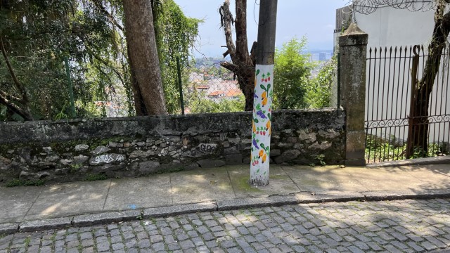 IMG 2352