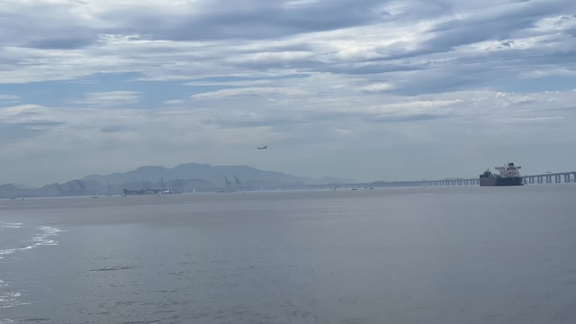 IMG 2600