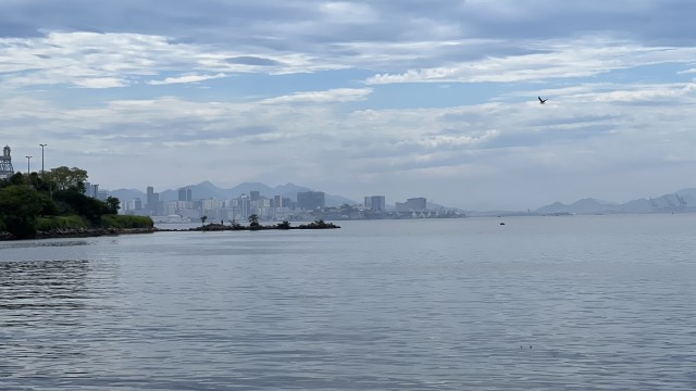 IMG 2610