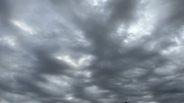 IMG 3130